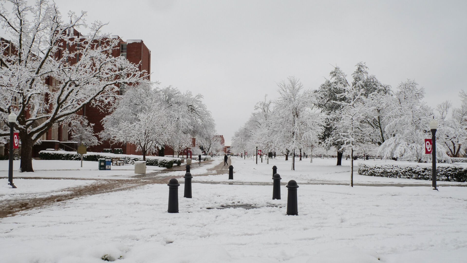 Snow on the South Oval